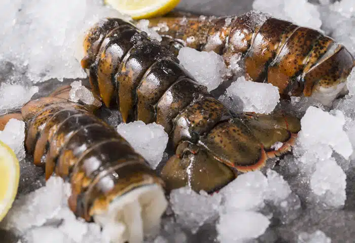 7 8 oz Water lobster tails